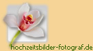 professionelle Hochzeitsbilder Erfurt